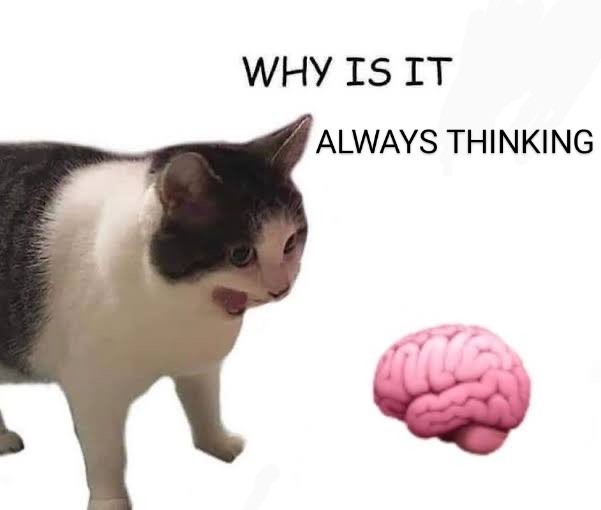 "WHY IS IT ALWAYS THINKING???" - Cat screaming at brain emoji.